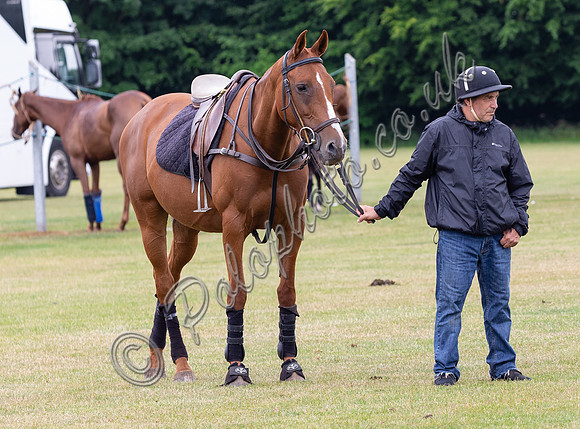 Polo action, Ladies 18 Goal Tournament,  Cirencester Park