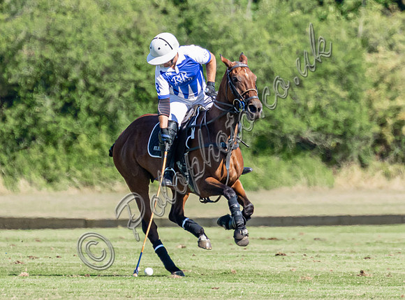 Polo action and presentation NPM Tournament 2025, Cirencester Park