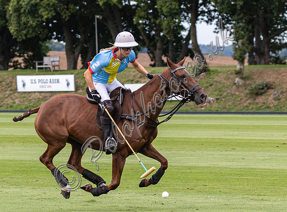 Polo action, 2022 Autumn Cup, Cowdray Park Polo Club