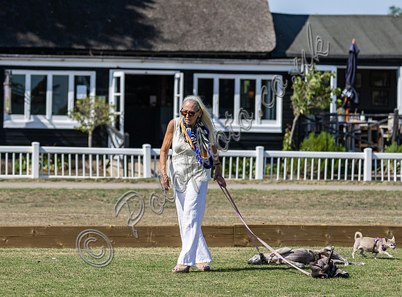 Polo action and presentation NPM Tournament 2025, Cirencester Park