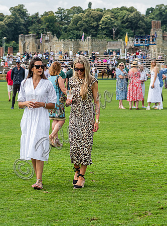 Treading in the divots at polo
