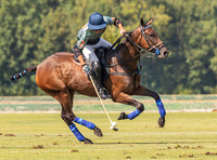 Polo action, County Cup 2025 league match, Cirencester Park