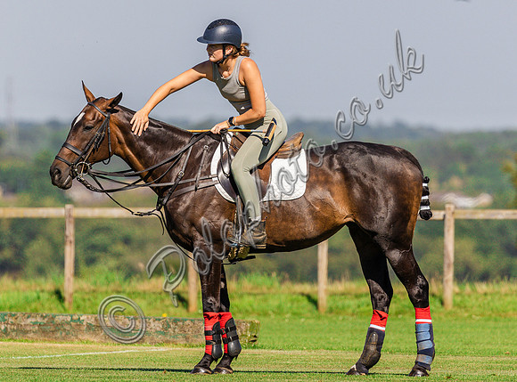 Polo action, ??? Cup, Cirencester Park