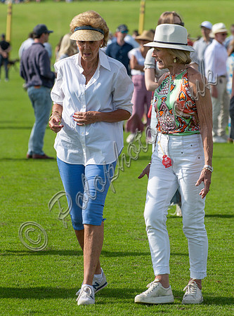 Treading the divots at polo