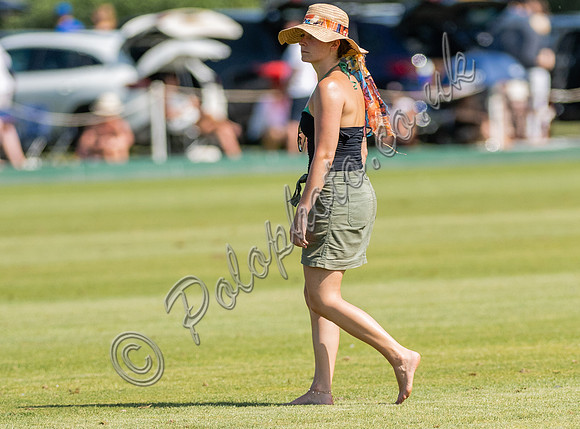 Treading in the divots at polo