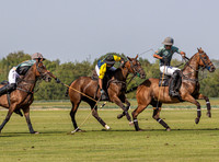 Polo action, County Cup 2025 league match, Cirencester Park