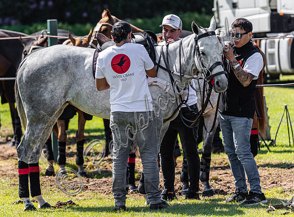 The  Trippetts Challenge Subsidiary Final and Presentation, 2024, Cowdray Park Polo Club