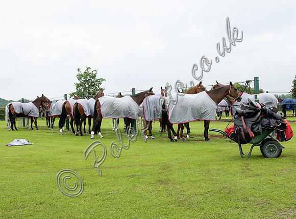 Polo action, 2021 Gold Cup, Cowdray Park Polo Club
